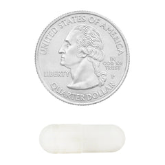 Label closeup highlights clean formula and 240-capsule value size.