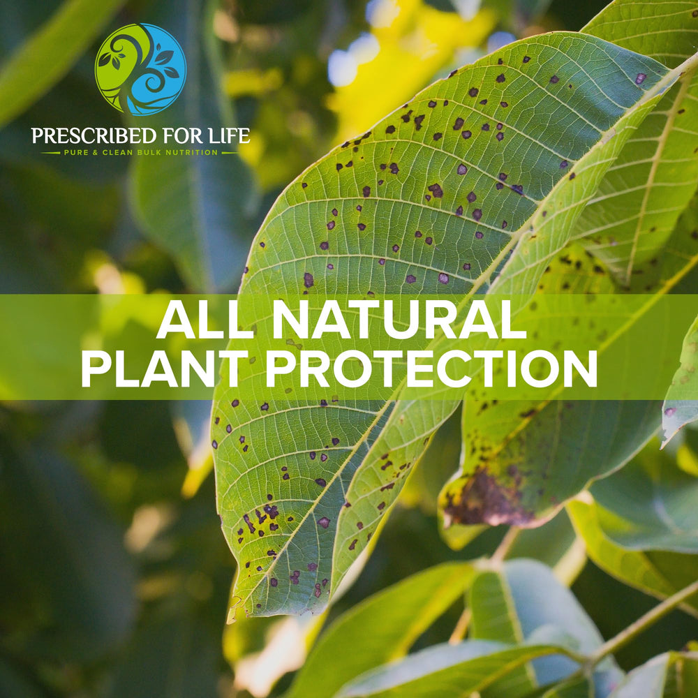 Garden scene with potassium bicarbonate powder supporting plant health from Prescribed For Life.