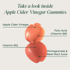 Primal Harvest ACV Gummies with pomegranate visual, detox-friendly daily routine