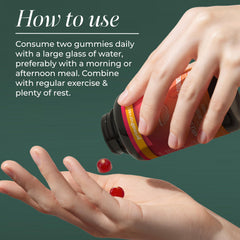 Primal Harvest ACV Gummies Vitamin B12 highlight for energy support