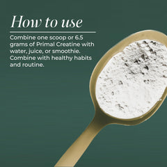 Primal Harvest Creatine Powder shaker ready for a smooth pre workout shake.