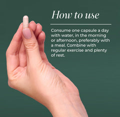 Primal Harvest Meno+ capsules closeup suggests easy daily use