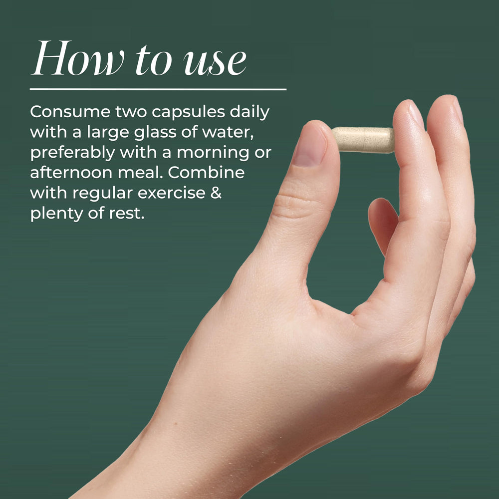 Primal Harvest Primal Gut Restore serving with two capsules for daily use.
