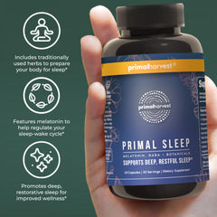 Primal Sleep nightstand scene conveys a peaceful nighttime routine.