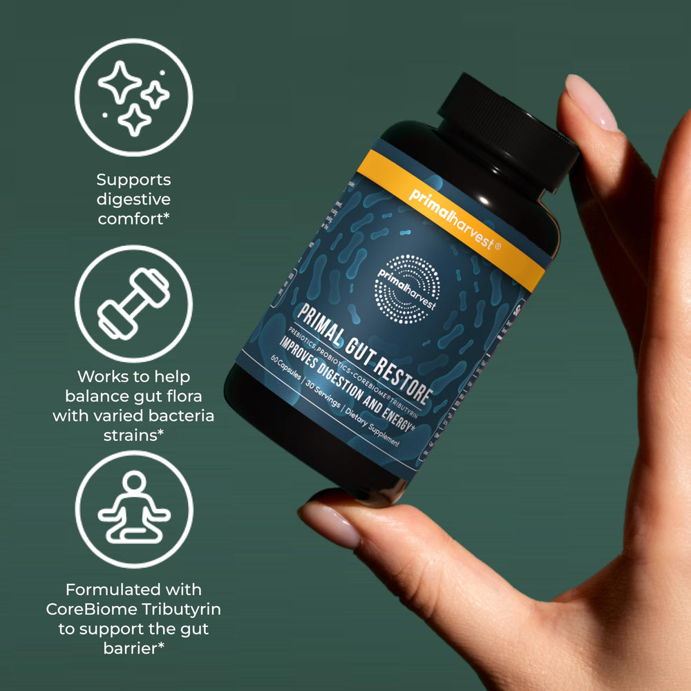 Primal Harvest Restore capsules in hand for a daily wellness routine