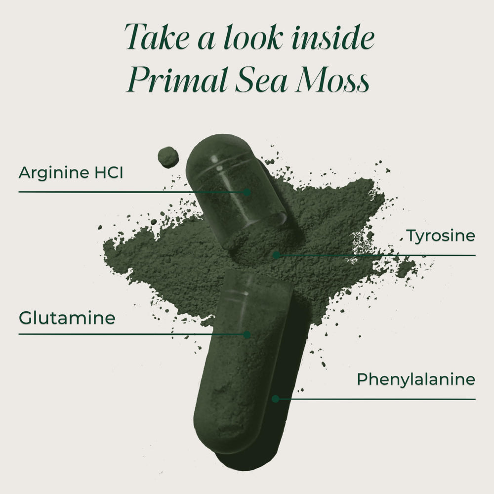 Primal Harvest Sea Moss Capsules pour demonstrates easy-to-take capsules.