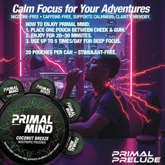 Primal Prelude travel-ready pouch design ideal for work or travel.