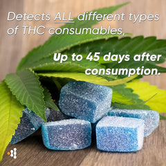 Prime Screen THC test kit fast 5-minute reading saves time.
