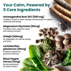 PrimeMD Shilajit extract graphic highlighting natural energy.