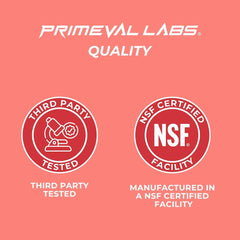 Primeval Labs DIA Hydration Sandia bottle on desk, everyday hydration option.