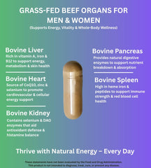PrimoNourish Grass-Fed Beef Organ Complex capsules for convenient daily energy