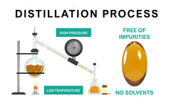 Procapsin skin-scar routine image hints gentle daily use for an even-toned appearance.