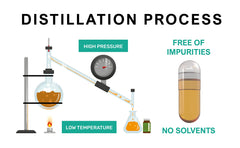 Procapsin transparent ingredients image highlights vegan formula and no additives