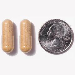Factory facility image underscores USA-made production standards.