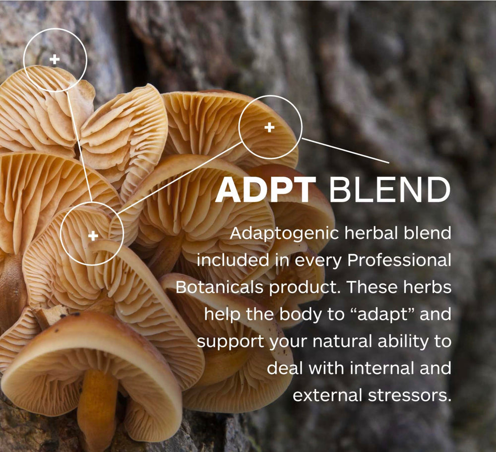 Professional Botanicals Dandelion root and blessed thistle blend for daily herb support.
