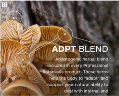 Professional Botanicals AdPT blend herbs providing energy support