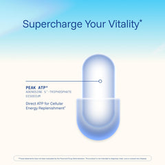 ProHealth Longevity ATP capsule closeup signals high-purity, third-party tested formula.
