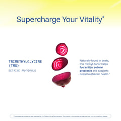ProHealth Longevity TMG bottle in hand conveys easy daily integration.
