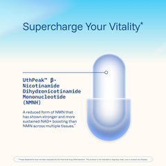 ProHealth mitochondrial energy visuals emphasizing improved cellular respiration.
