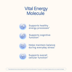 Two NADH Pro lozenges beside a notebook for focus and memory tasks.
