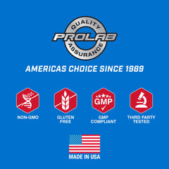 ProLab Whey Isolate Vanilla Ice Cream powder on a spoon emphasizes fine texture.
