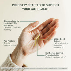 Ingredient panel highlights phytosome form and 550 mg dosage.