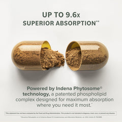 Two-pack Prominent Nutrition Berberine Phytosome packaging for ongoing supply.