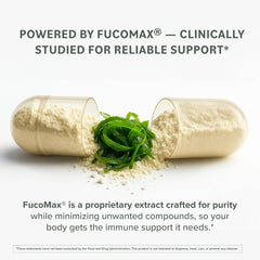 Prominent Nutrition Fucoidan brown seaweed extraction process image supporting quality and sourcing for digestion support.
