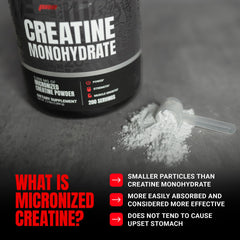Close up of PROSUPPS Creatine Monohydrate Powder ingredients label highlighting gluten-free and vegan formula.
