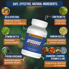 Prosvent cranberry ingredient illustration supporting antioxidant prostate health.