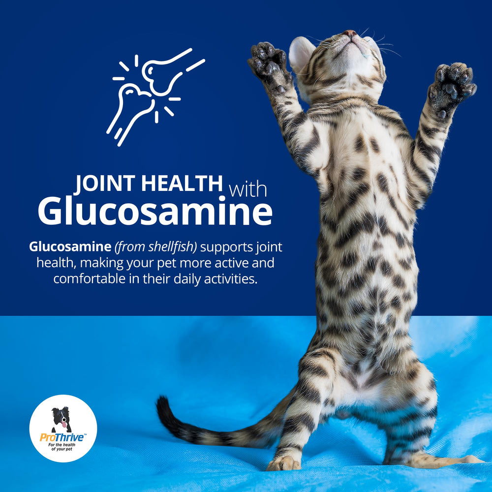 ProThrive Spunky Digestive Supplement probiotics-enzymes panel emphasizes hind gut support.