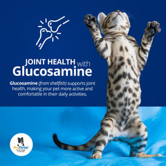 ProThrive Spunky Digestive Supplement probiotics-enzymes panel emphasizes hind gut support.