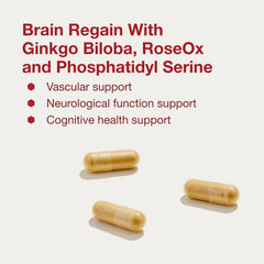 Protocol for Life Balance ginkgo biloba capsule close-up hints vascular health support.