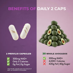 Provilio NAD+ capsules closeup, compact daily energy supplement.