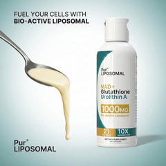 Pur LIPOSOMAL NAD+ Glutathione Urolithin A pour demonstrates rapid liposomal delivery