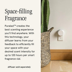 Pura refill 4-pack highlighting long lasting fragrance per vial.