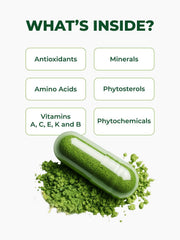 Pura Vida Moringa box with bottle on shelf in a lifestyle setting