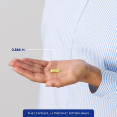 Quercetin pouring capsules showcases simple daily dosing.