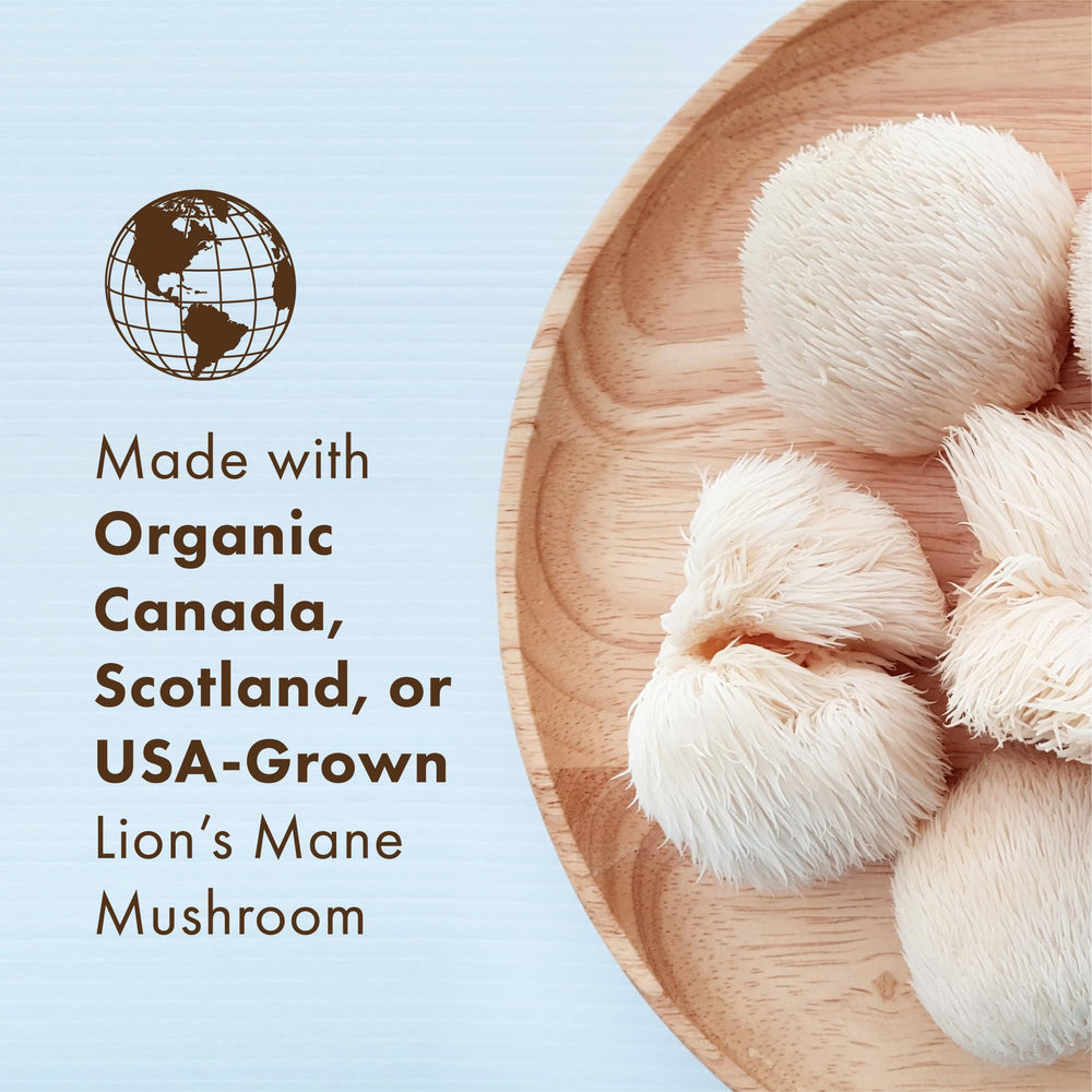 Close-up label on MyPure Lion's Mane 8X highlighting organic sourcing.