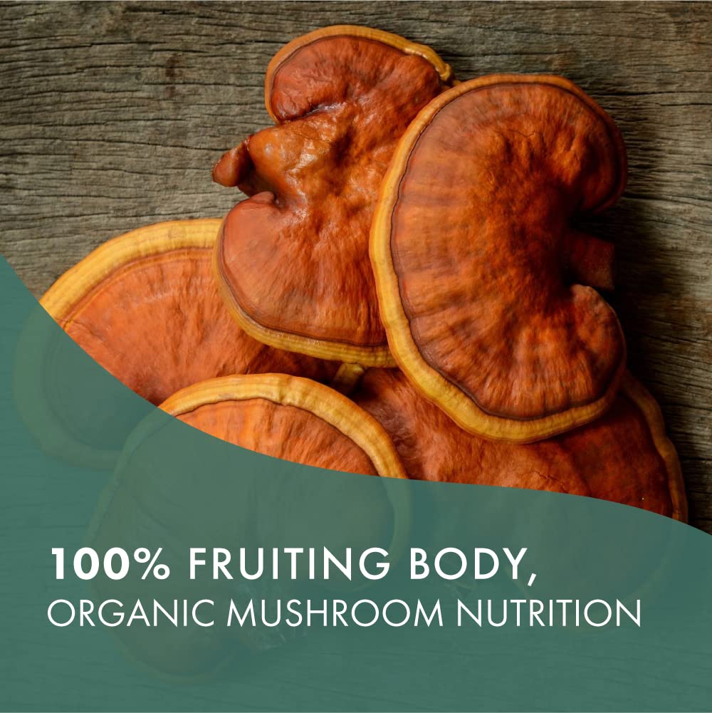 Pure Essence Labs MyPure Reishi 4X is non-GMO and dairy-free.