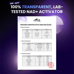 Scientific diagram reflecting liposomal delivery concept for NAD Resveratrol