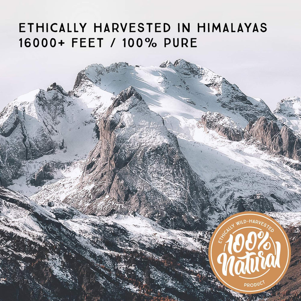 Pure Himalayan Shilajit authentic Ayurvedic extraction process illustrated with traditional tools.