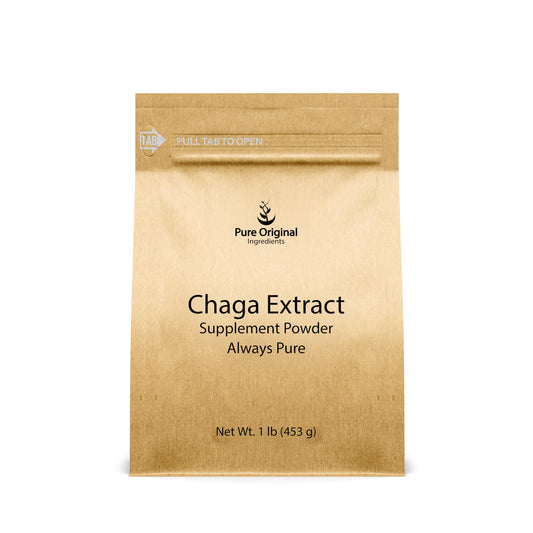 Pure Original Ingredients Chaga Extract Powder in a bag for daily wellness.