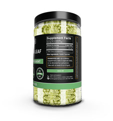 Damiana leaf capsules packaging by Pure Original Ingredients, convenient 730-count bottle.