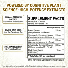 Pure Prana Ashwagandha capsules in hand for focused daily use.