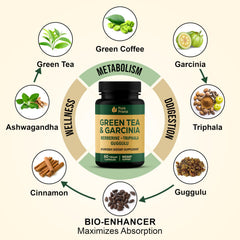 Pure Prana Green Tea extract closeup emphasizes antioxidant-rich support.