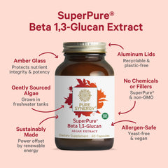 PURE SYNERGY algae source image with Euglena gracilis emphasizes yeast-free, algae-derived beta-glucans.