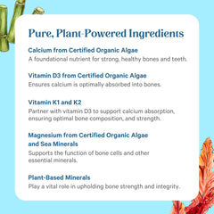 Pure Synergy Bone Renewal daily-use illustration suggesting two capsules with meals