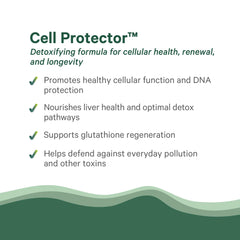 Organic cruciferous vegetables image related to PURE SYNERGY Cell Protector detox support