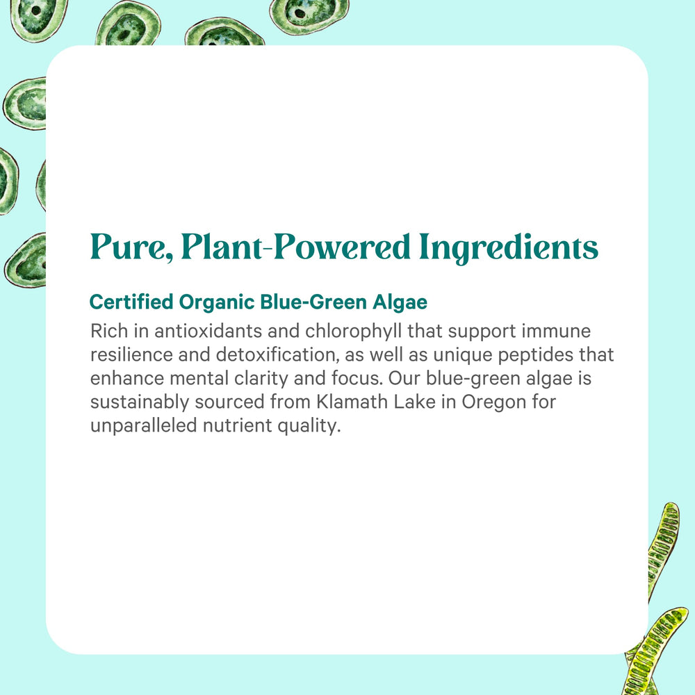Pure Synergy chlorophyll-rich formula suggests antioxidant support.